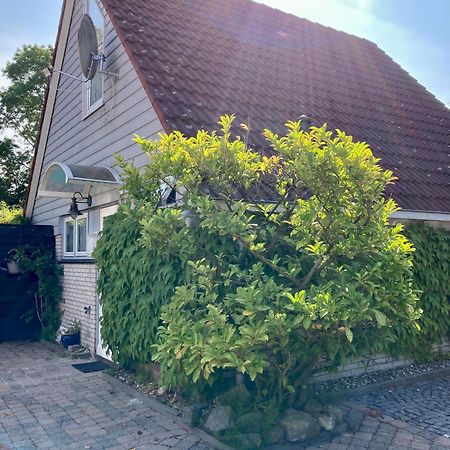 Gudrun 5 Pers Equipped House With Sauna. Dogs Are Welcome! Anjum Eksteriør billede