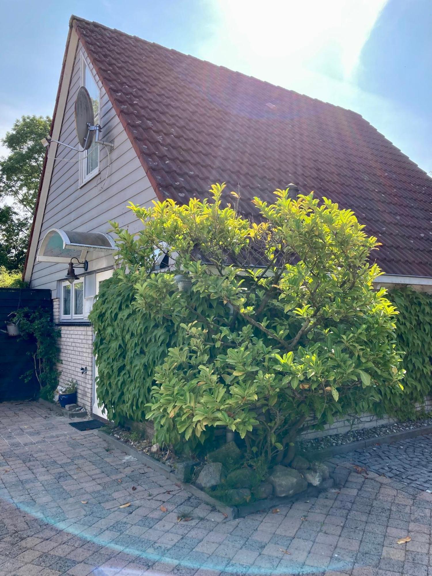 Gudrun 5 Pers Equipped House With Sauna. Dogs Are Welcome! Anjum Eksteriør billede